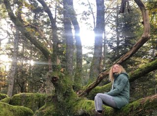 ead1d3b0-8c47-4256-8ace-a9171fa6387e2